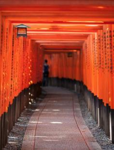 Torii Gates in Kyoto, Japan by 咪咪 沈 (500px)