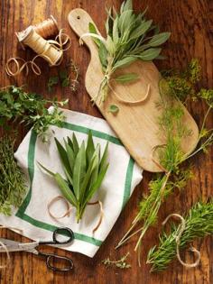 Tips to Dry and Preserve Herbs #herbs #dryingherbs