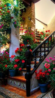 Colorful stairs in Cordoba, Spain • photo: Di Gutti on Flickr