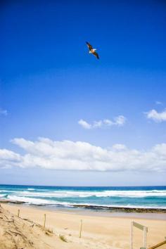 St. Andrews Beach, Australia, Melbourne, Mornington Peninsula, ocean, Bass Strait.
