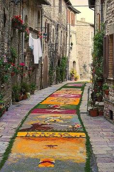 Streets decorated with foloral tapestries during Easter in Perugia, Italy.
