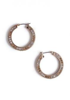 Titian Hoops