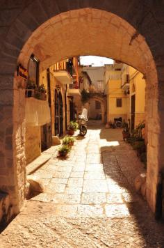 Bari, province of Bari, Puglia region , Italy