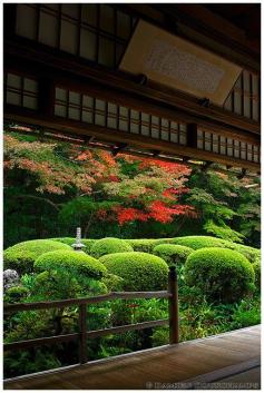 Early autumn in Shisen-do temple, Kyoto, Japan