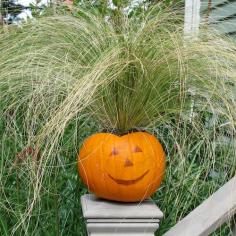 Fall Decorations - Pumpkin Planters for Fall Decorations #pumpkinplanter