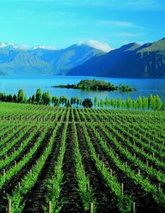 There is just something about lakes... Lake Wanaka, New Zealand - #GuessQuest