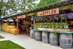 Avila Valley Barn- Avila Beach CA has delicious pies and fresh fruits, as well as an ice cream mill and a petting zoo