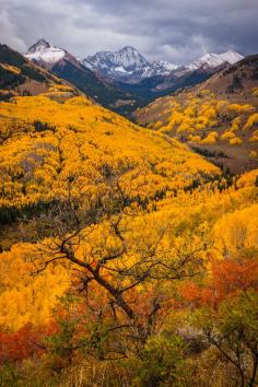 Autumn in the Rockies, Colorado, United States.