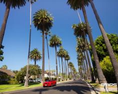 Beverly Hills, Los Angeles | by eTips Travel Apps