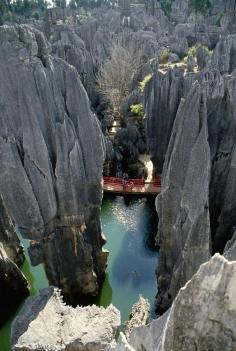 El bosque de piedra de Naigu, Yunnan (China)