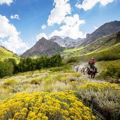 Horse packing trip in Sierra Nevadas