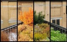 4 Seasons on the High Line