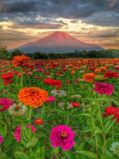 Mt. Fuji, Japan: Photo by Phantastic Phiyotan
