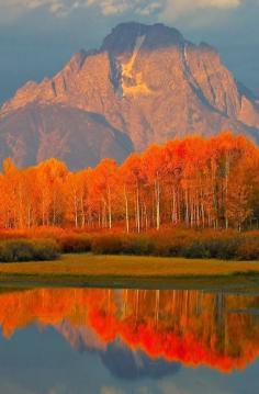 Autumn in the Grand Tetons, Jackson Hole, Wyoming, United States.