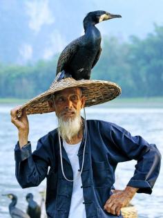 Guilin, China. Cormorant fishing is a traditional fishing method in which fishermen use trained cormorants to fish in rivers. Historically, cormorant fishing has taken place in Japan and China since about 960 AD.