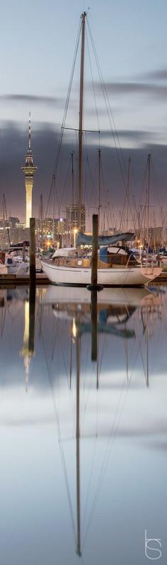 ~Westhaven Marina in Auckland, New Zealand