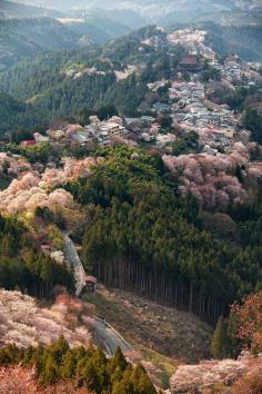 Mount Yoshino | Japan (by Rickuz)