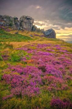Cow and Calf Rocks, Ilkley on Behance, West Yorkshire, UK