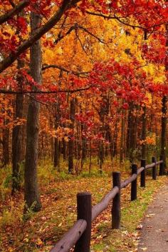 Autumn Park, Brown County, Indiana
