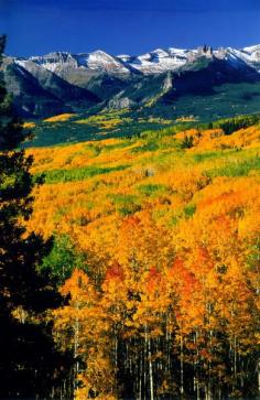 Aspen, Colorado in Autumn, United States of America.