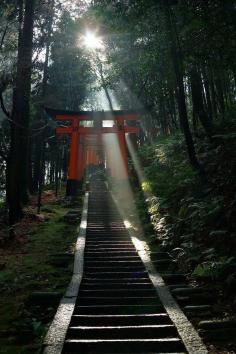 Kyoto - Fushimi Inari