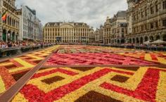 AFAR.com Highlight: Flower carpet  by Adriana Yampey