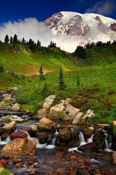 Edith Creek and Mt Rainier Mt Rainier National Park Washington, USA - A great place to hike. There are many different types of hikes. Pick up a map at the Visitors Center, ask the rangers what you want, they are very helpful. Not a beginners or intermediates climb solo, so go with a guide service. The weather can change in an instant, so be prepared for the worst. If you get a clear day you will have a great time, no doubt. Dragan Tapshanov - 07/02/2014