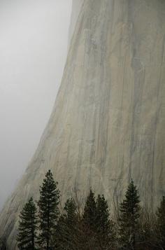 El Capitan, Yosemite National Park by Andre Leopold