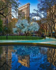 Spring In Madison Square Park - NYC - by Chris Lord