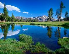 The Tuolumne Meadows - Water saturates Tuolumne Meadows with a scenic reflection.
