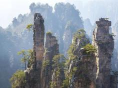 ZHANGJIAJIE NATIONAL FOREST PARK // Do the towering pillar-like mountains of this national forest look familiar? This park was used as a prototype for the landscape in James Cameron’s Avatar. The Chinese government was so taken with this cameo that they renamed the “Southern Sky Column,” of Zhangjiajie “Avatar Hallelujah Mountain” in 2010.
