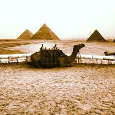 The pyramid panorama at Giza Discovered by Teesa Travels at Giza, #Egypt