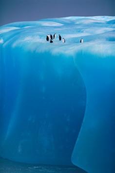 Antarctica