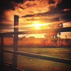 Nothing beats an autumn sunset. Photo courtesy of perriehartz on Instagram.