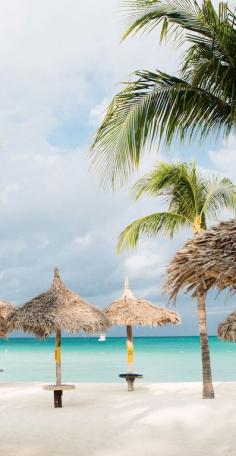 Breezy family-friendly digs with a beachfront seafood restaurant, two pools and a casino in Aruba’s Palm Beach.