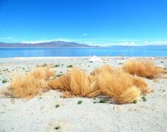 Walker Lake is along Highway 95, about 100 miles South East of Carson City, and about 20 miles south of the town of Hawthorne.