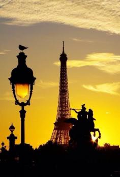 Parisian Sunrise | La Beℓℓe ℳystère