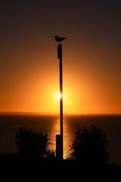 Clifton Springs Sunset   by halloosin8 on Flickr. Clifton Springs is a coastal town located on the Bellarine Peninsula, near Geelong, Victoria, Australia, named after local mineral springs, which were found around Fairy Dell