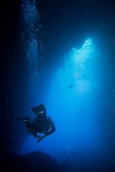 The overhangs and volcanic arches of the Poor Knights Islands are such fun to explore.