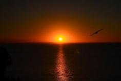 Into the Sun Clifton Springs by halloosin8 on Flickr. Clifton Springs is a coastal town located on the Bellarine Peninsula, near Geelong, Victoria, Australia, named after local mineral springs, which were found around Fairy Dell