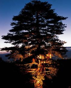 Skyhigh tree house near lake Geneva in France