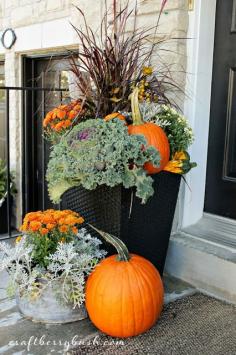 Love this combo of kale, pumpkins, grasses & mums