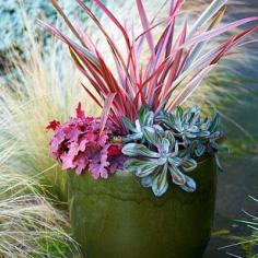 Fall Container Gardening Ideas