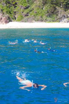 Snorkeling in the Whitsunday Islands, Queensland, Australia