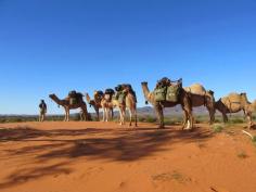 Starry Starry Nights: Trish Clark discovers camel trekking is not all hard work  - in the desert in Australia!