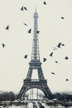 Tour Eiffel #Paris #France