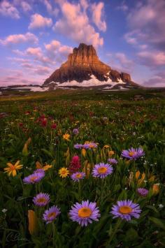 Tribute by Candace Bartlett on 500px