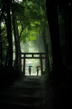 Torii gate in Japan