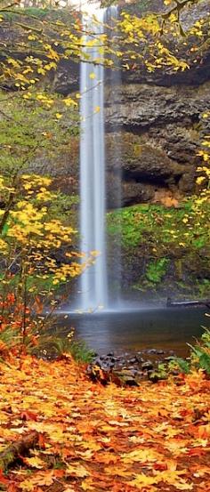 Autumn in Silver Falls State Park, Oregon, United States.