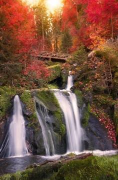 Black Forest Waterfall